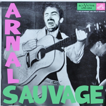 Mes pompes en daim bleu ( Blue Suede Shoes )