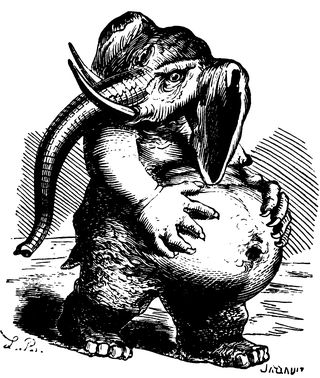 Image de Concerts 2007