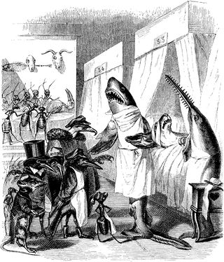 Image de Hot Potatoes